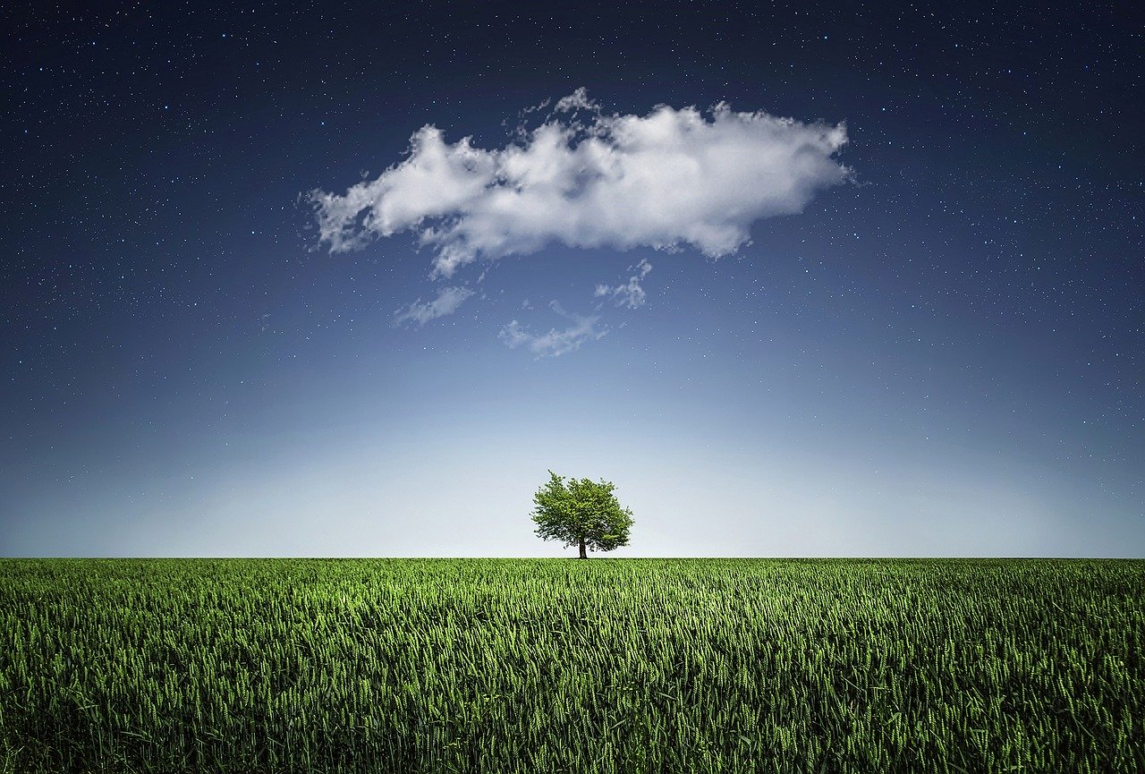 Tree with cloud